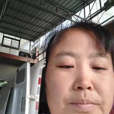 西兰花