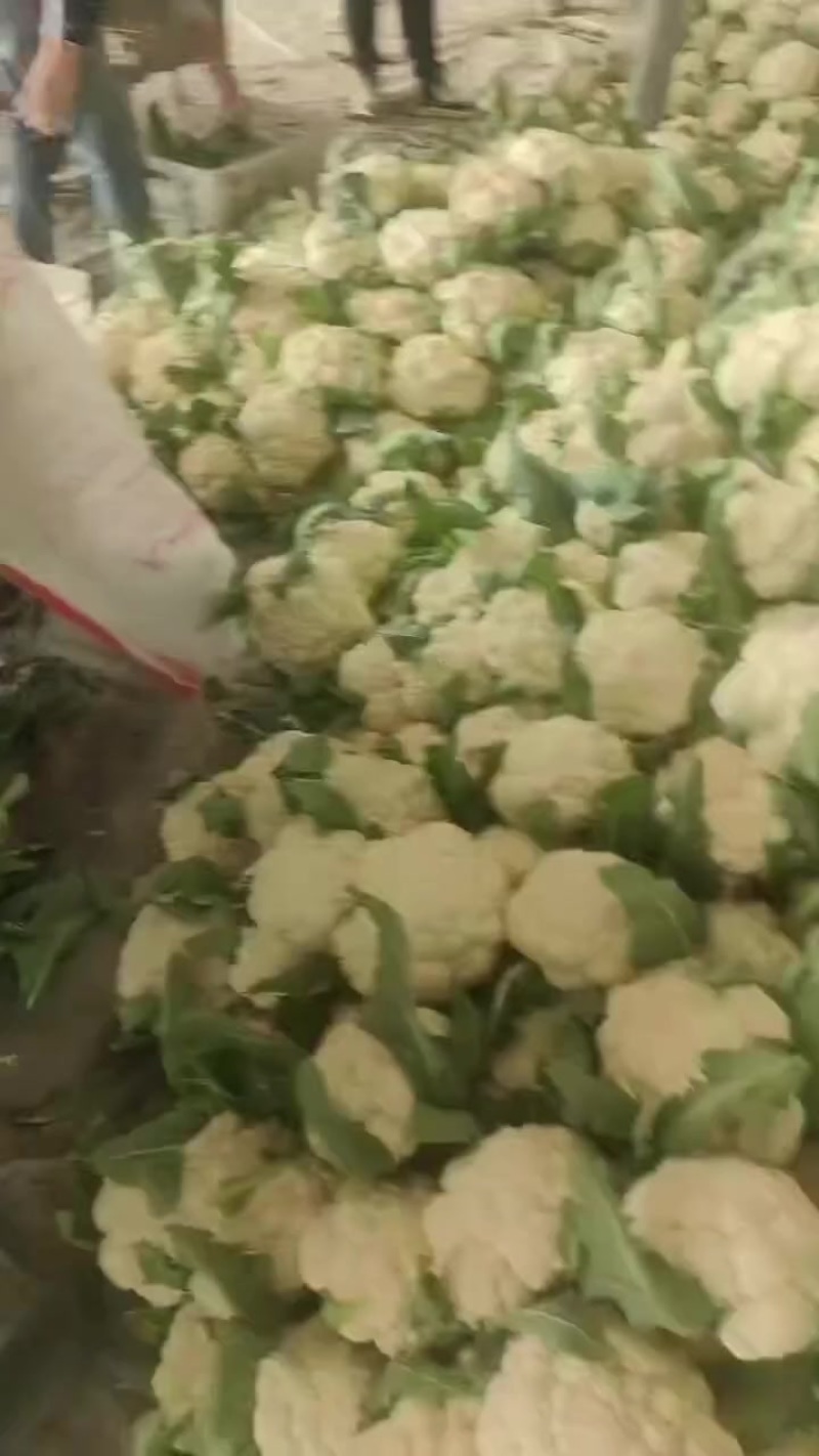 菜花