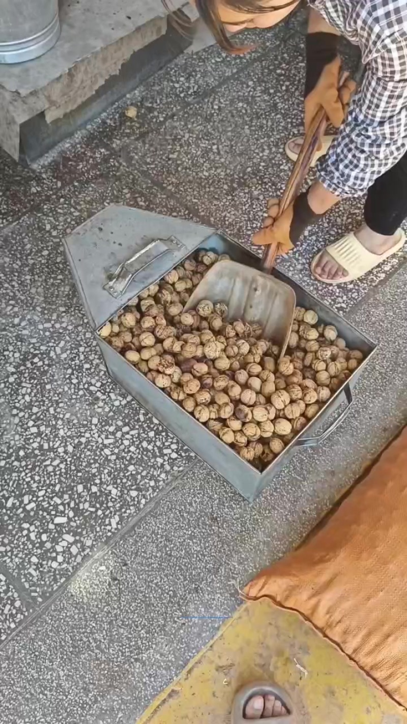 2024新季冷榨核桃油，无任何其他添加！