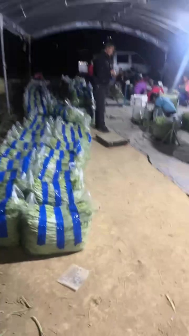 贵州无筋豆大上市支持任何包装电商市场货都有