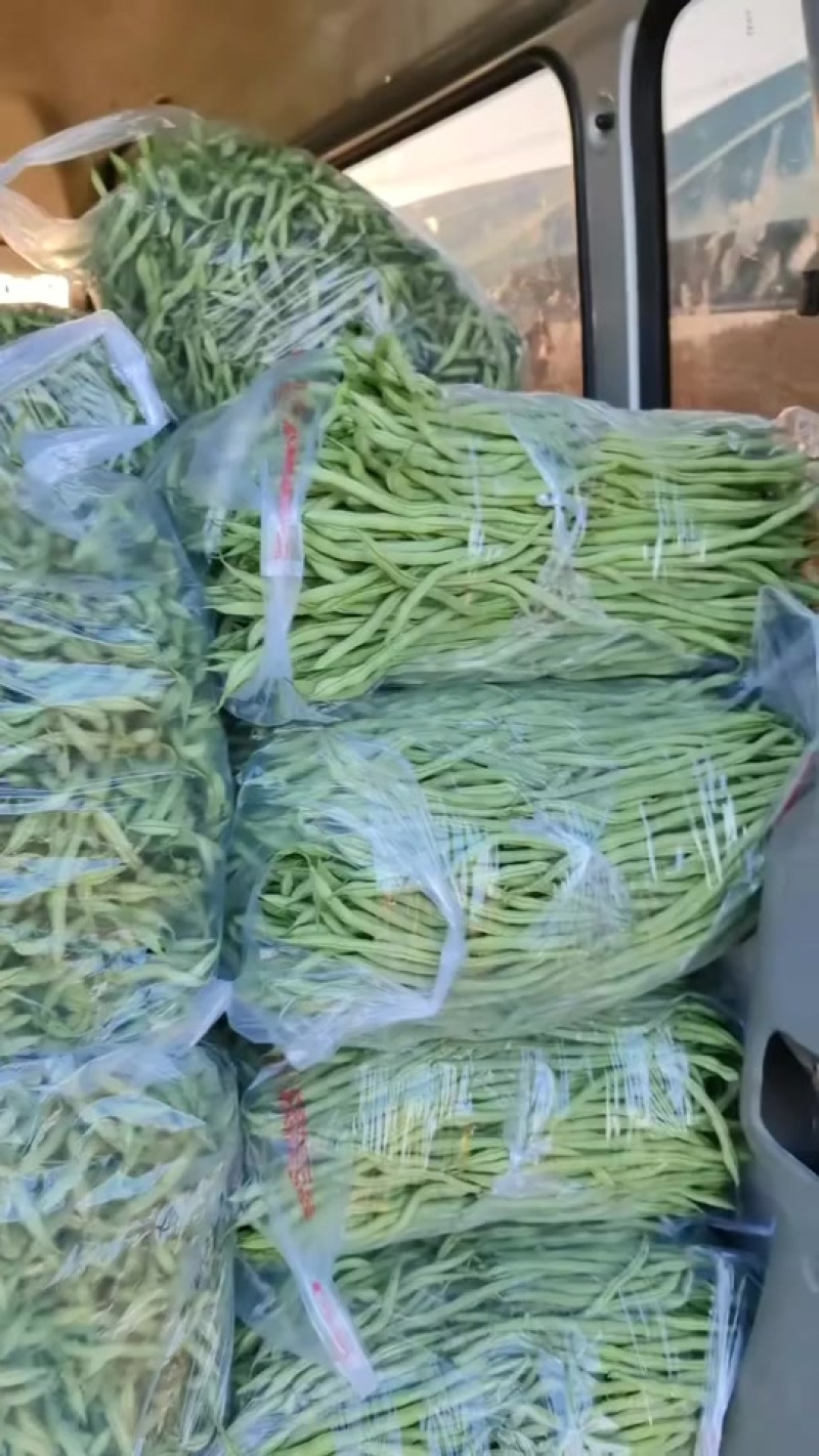 贵州无筋豆大上市支持任何包装电商市场货都有