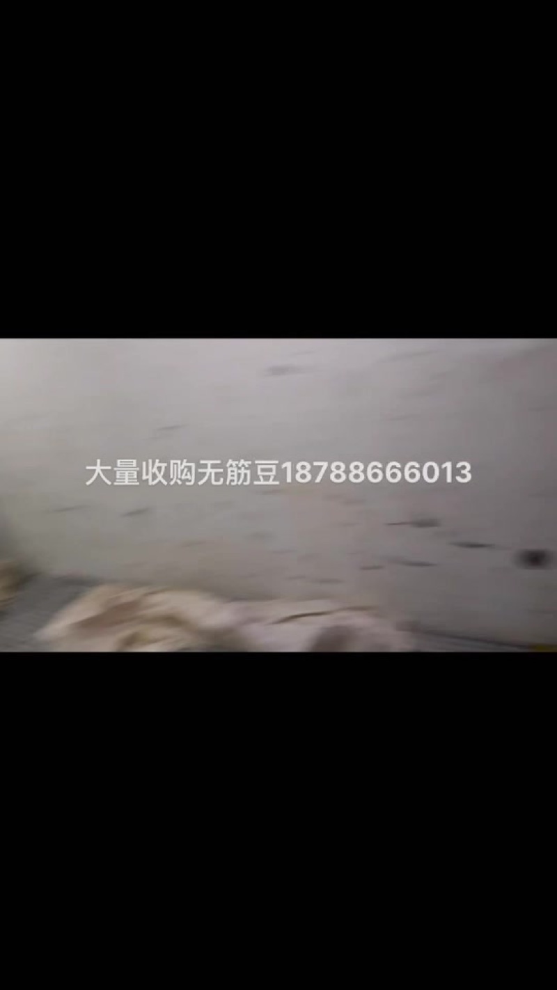 贵州无筋豆大上市支持任何包装电商市场货都有