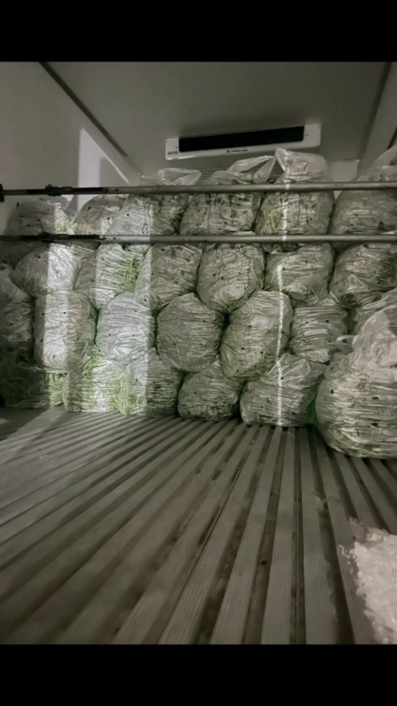 贵州无筋豆大上市支持任何包装电商市场货都有