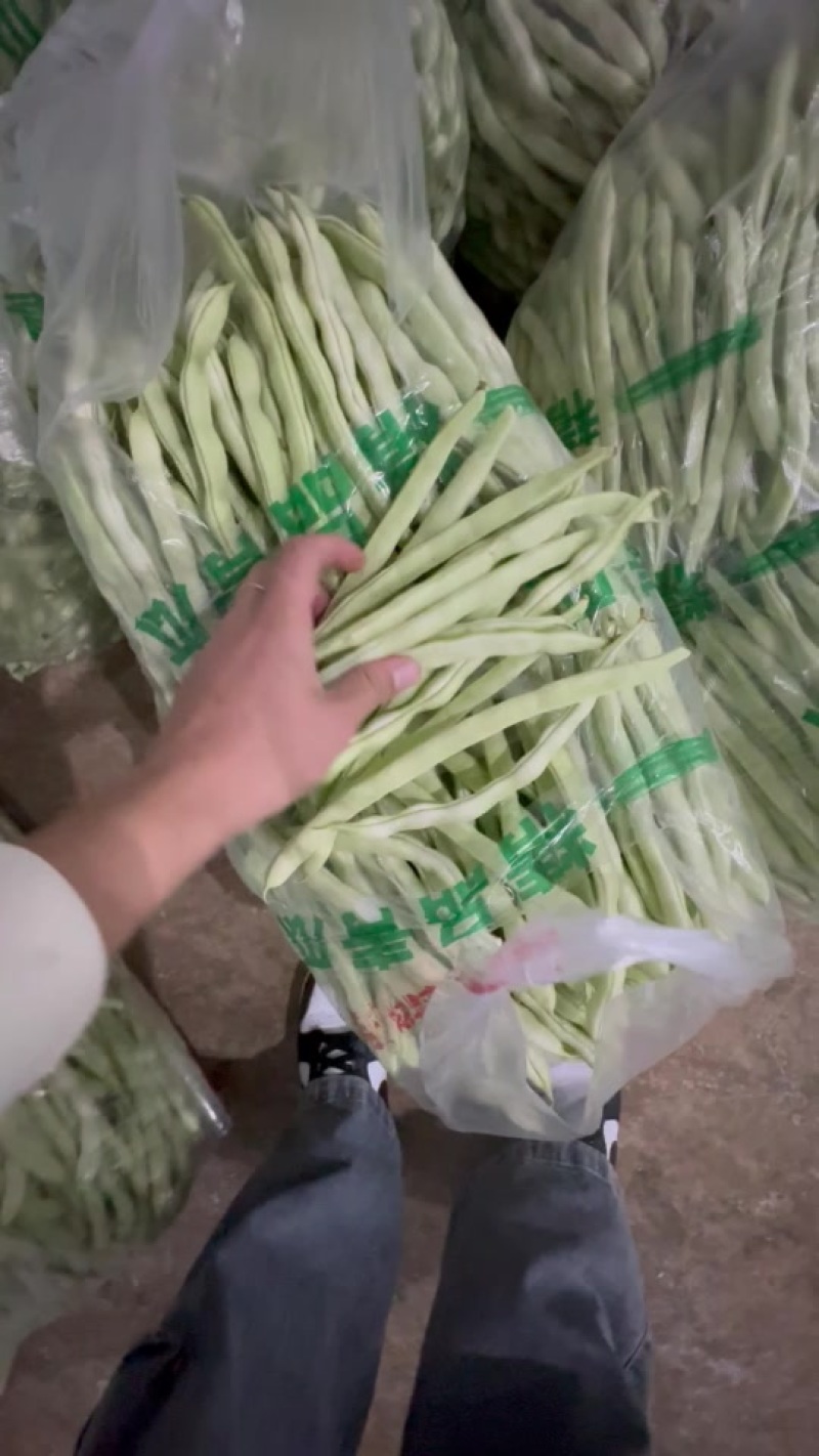 贵州无筋豆大上市支持任何包装电商市场货都有