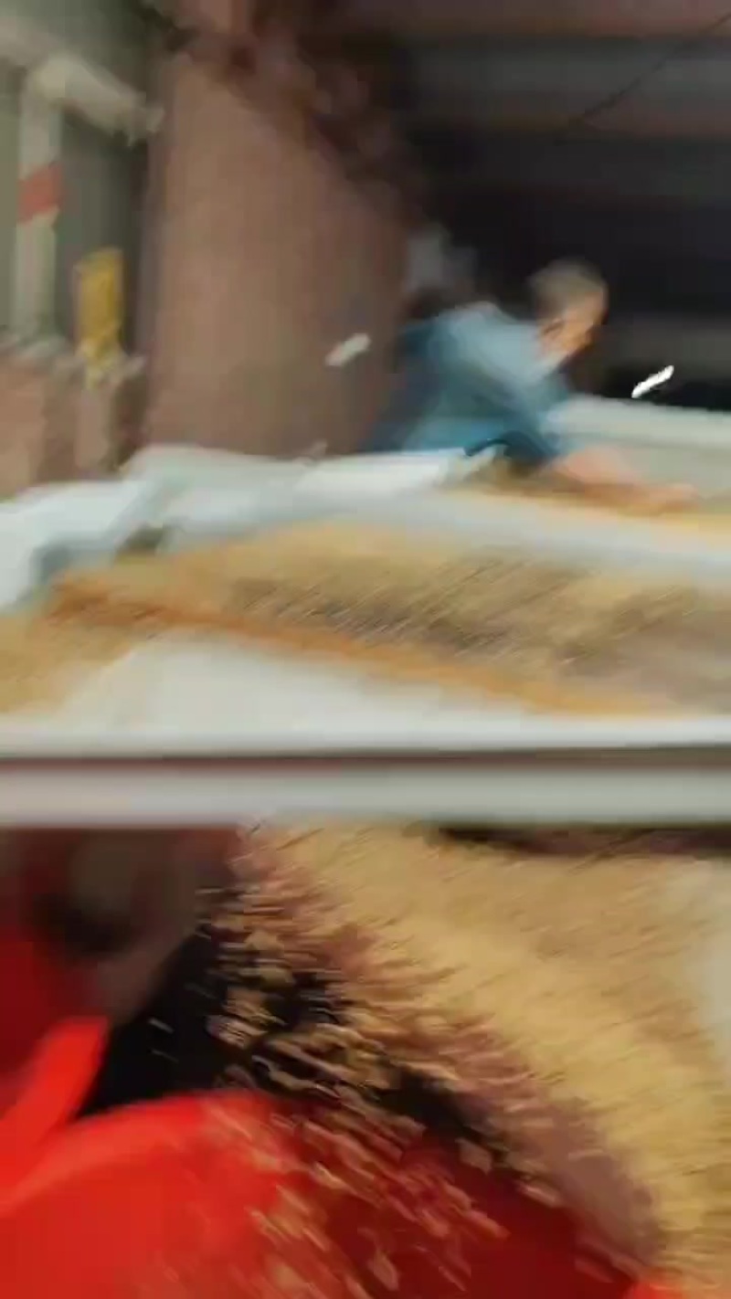蝇蛆活冻虫