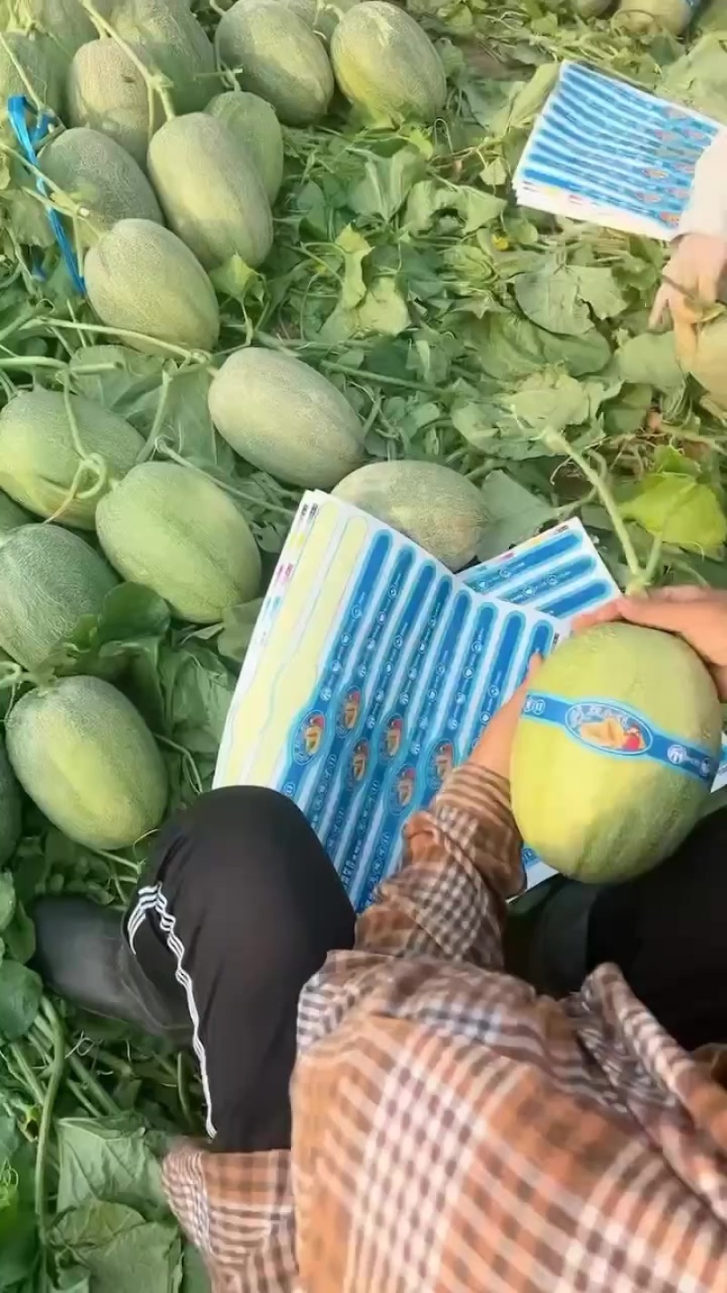 晓蜜25