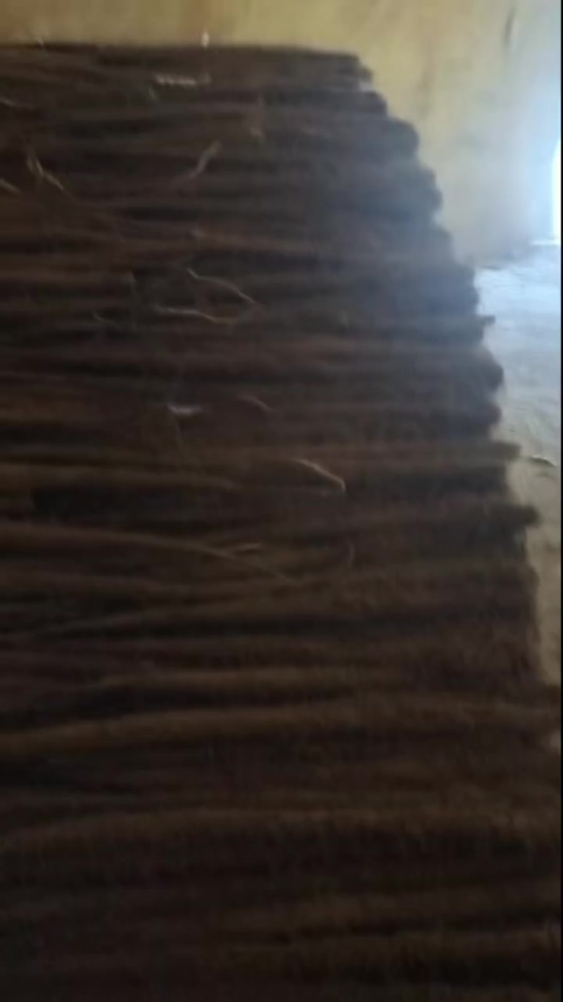新白玉