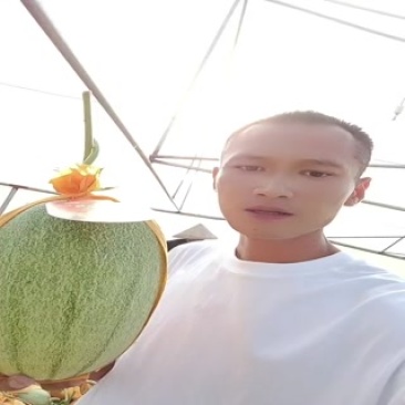 小蜜25