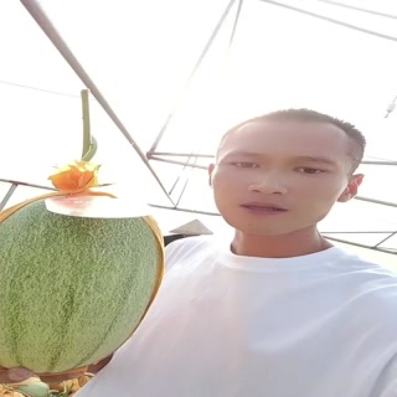 小蜜25