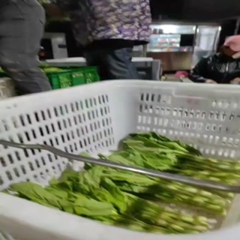 优质白菜苔