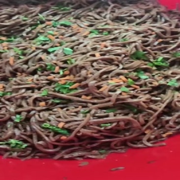 千叶豆腐丝