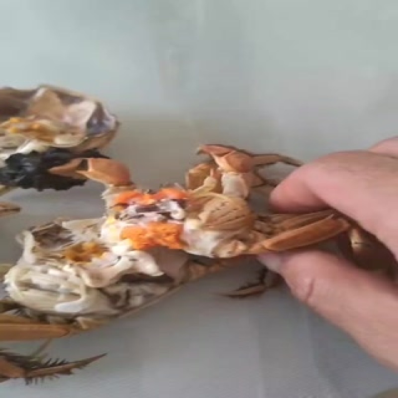 七里海香蟹