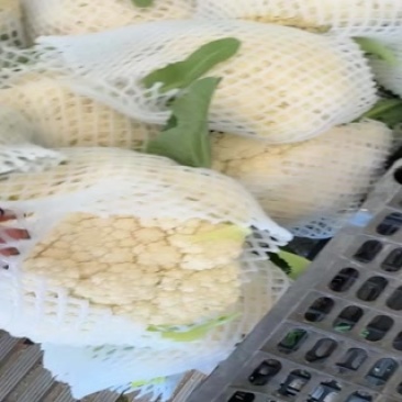 精品小米散花