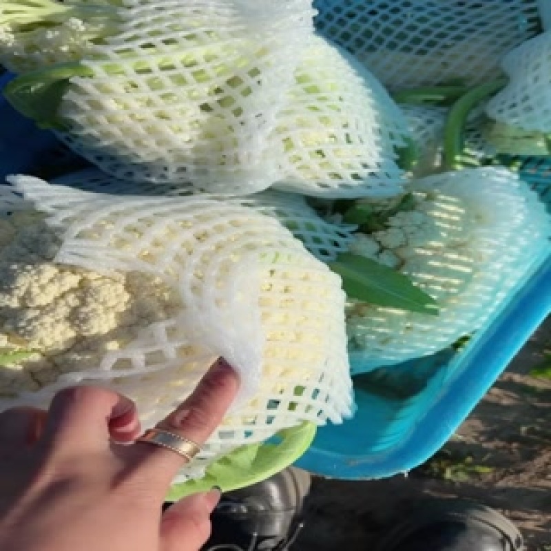 精品小米散花