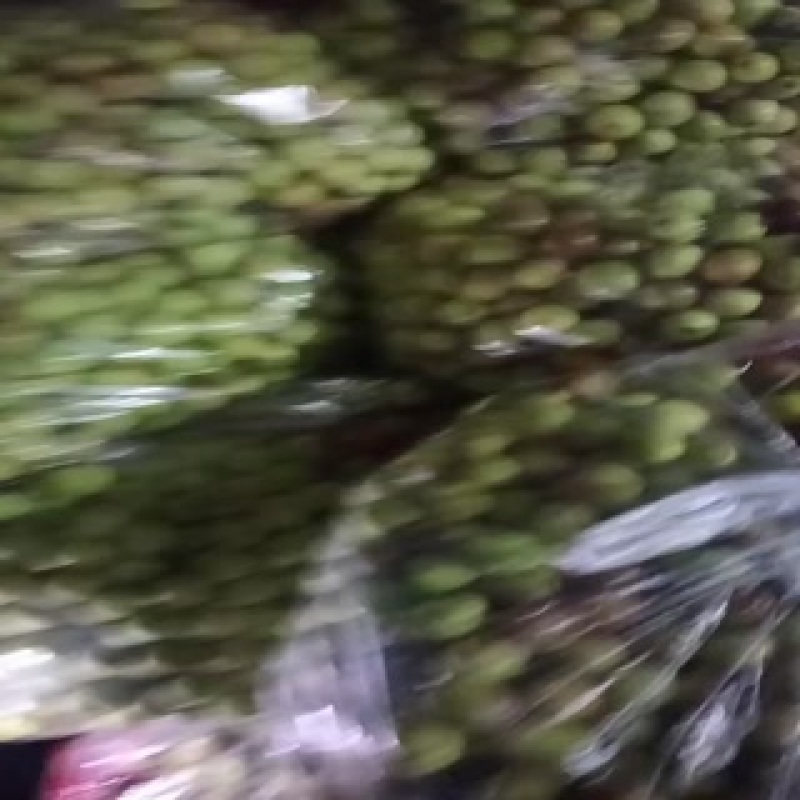 沾化冬枣