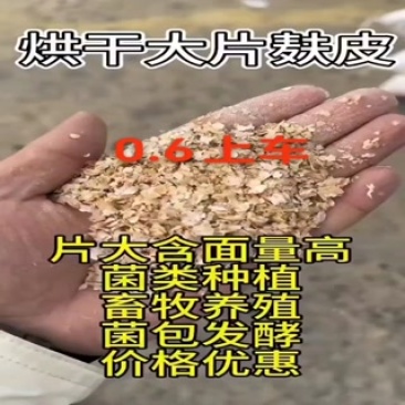 大片麸皮养殖鸡鸭鹅**