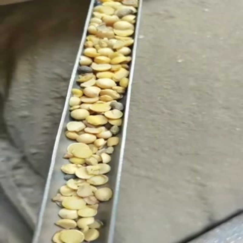 养殖专用碎大豆
