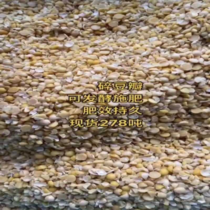碎豆