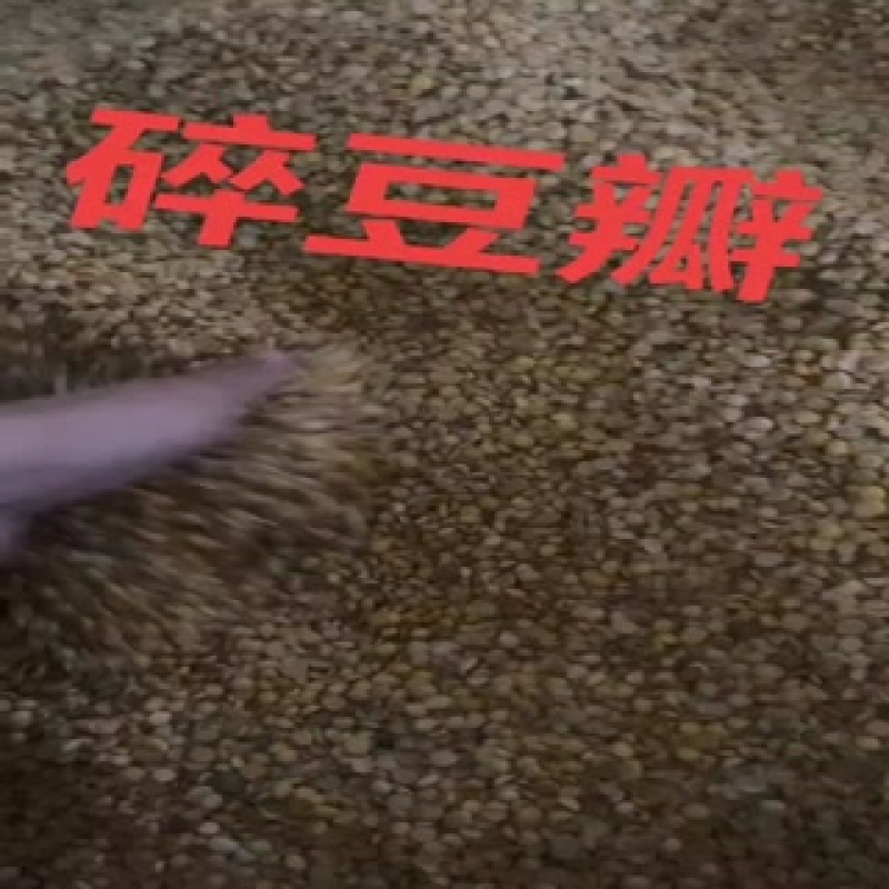 碎豆
