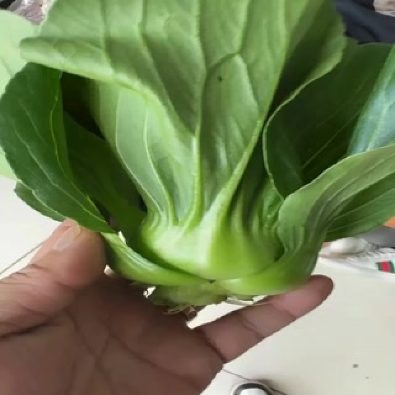 苏州青