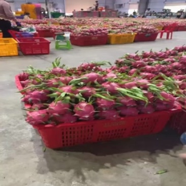 出口，超市高质量货