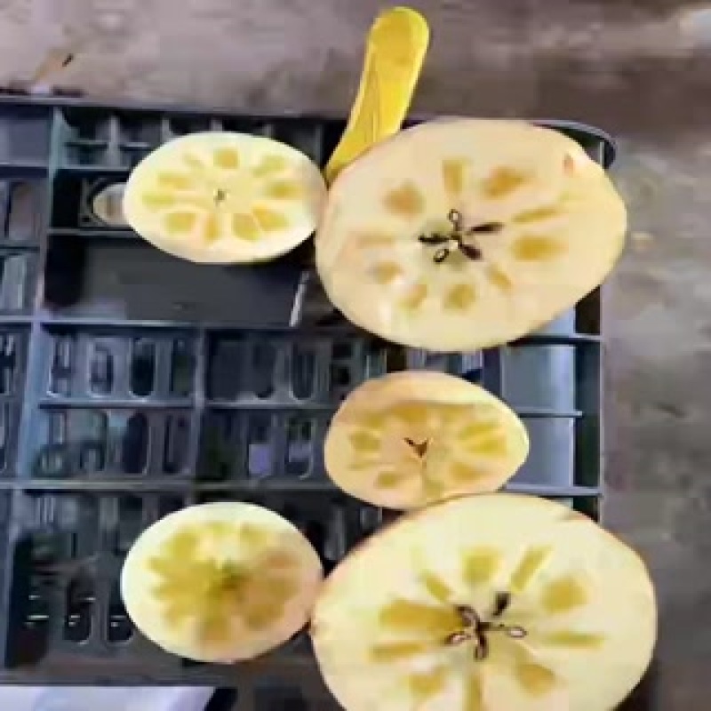 阿克苏冰糖心苹果，每个都有糖心，今年的行情谁能预测？