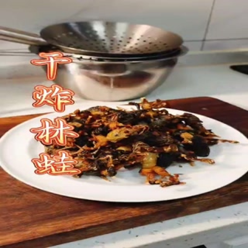 东北林蛙