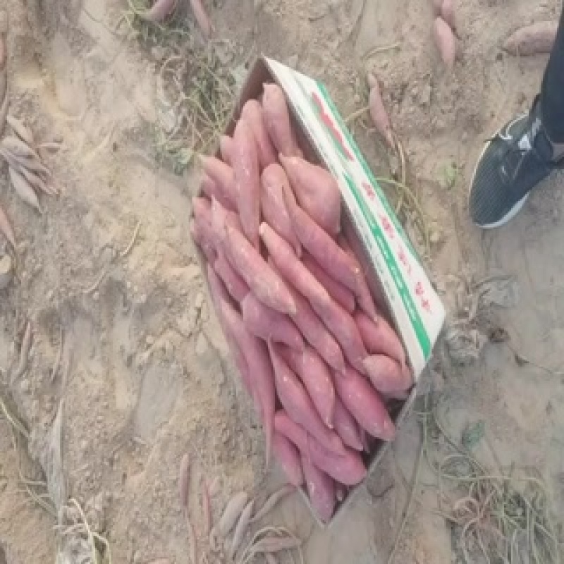 西瓜红