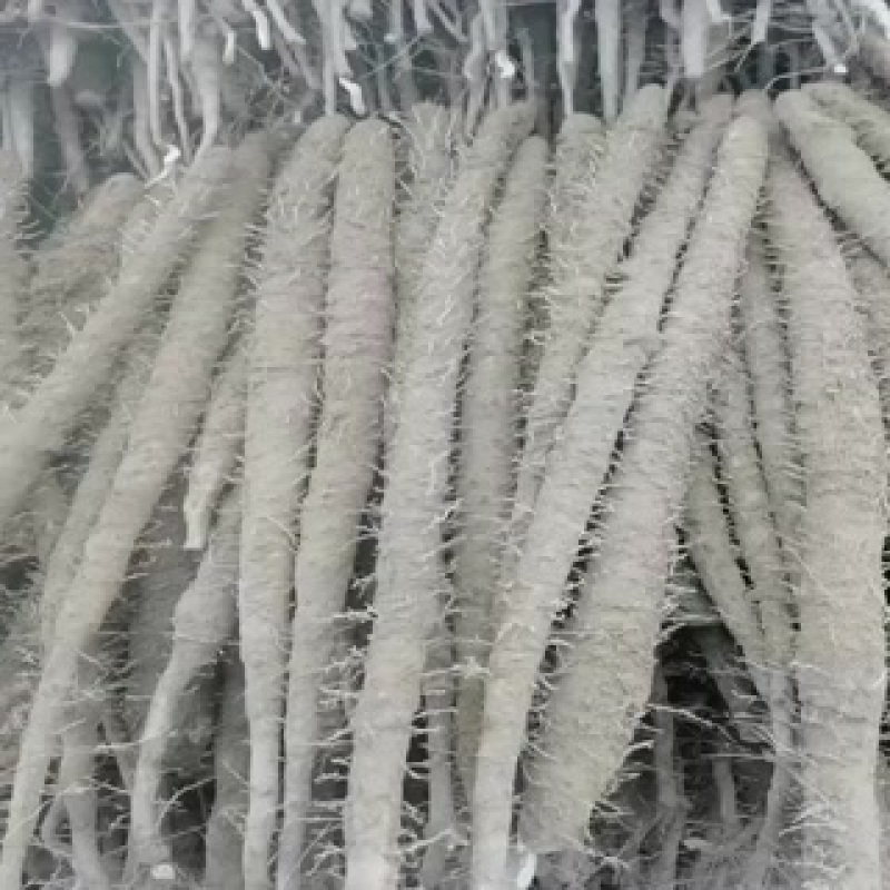 紫药二路