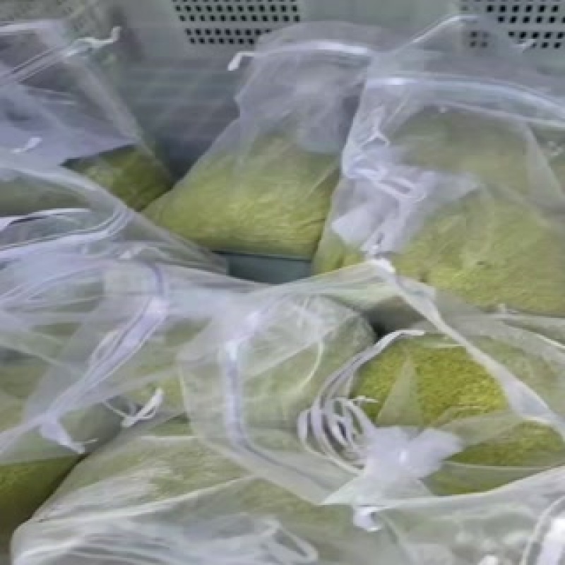 豆虫卵