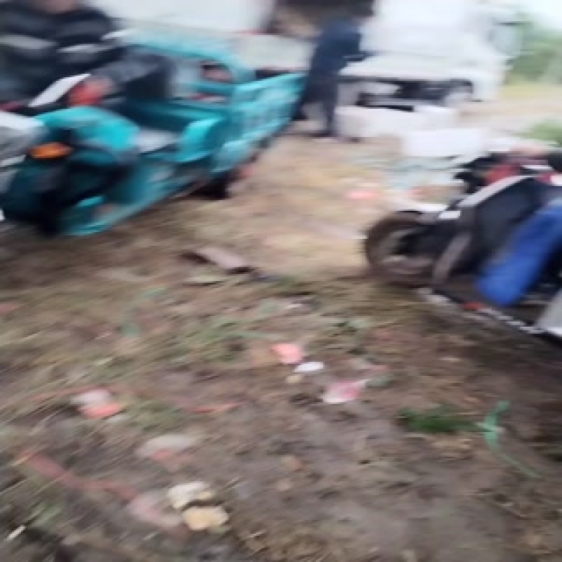 冬桃