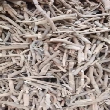 粉丹皮药厂货