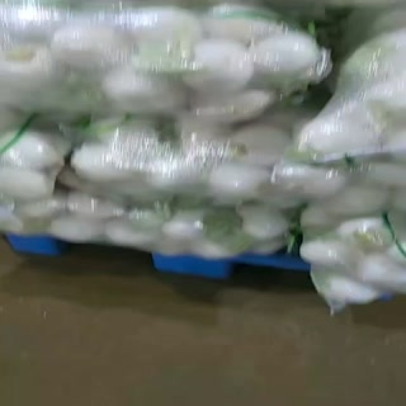 精品圆萝卜上市了