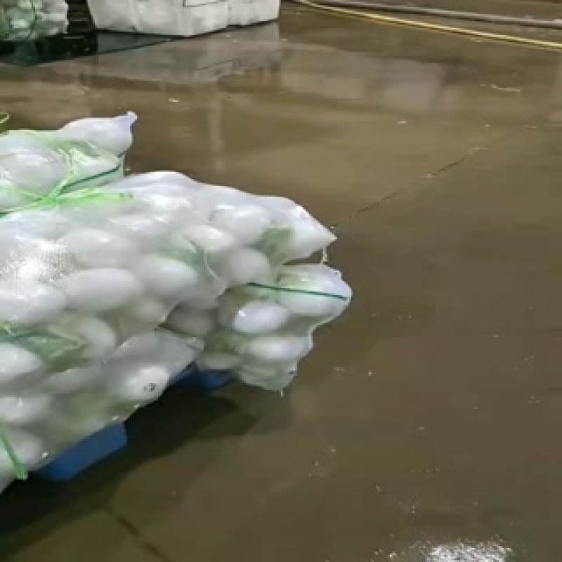 精品圆萝卜上市了