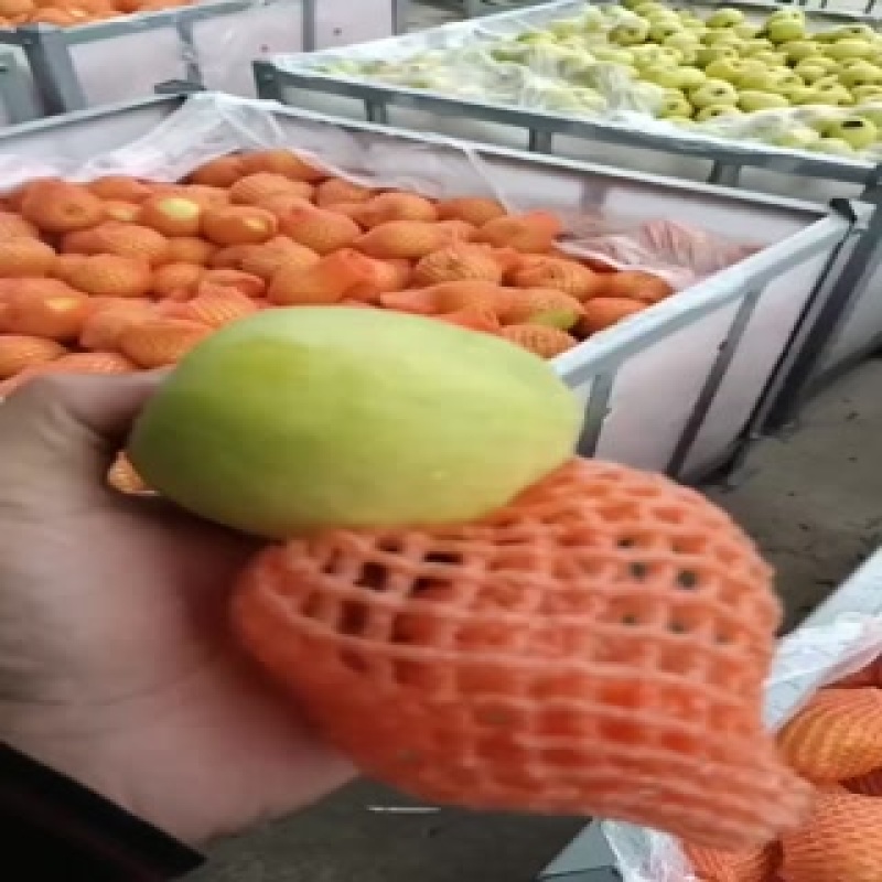 红富士