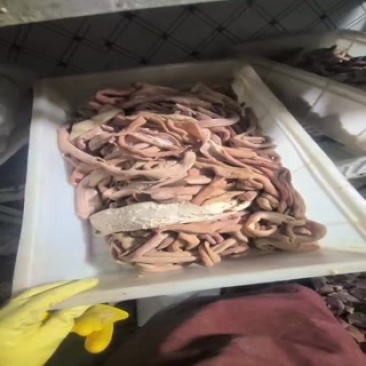 牛耳朵精品牛大肠牛小肠通货牛副产品批发