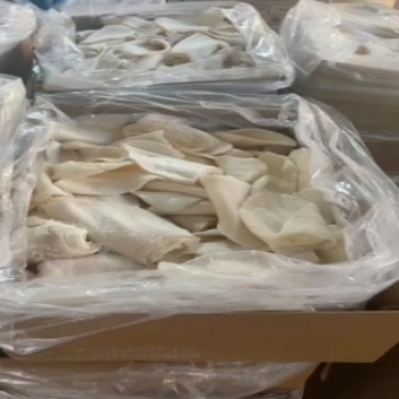 牛副产品厂家一手货源批发有需要的朋友可以联系我