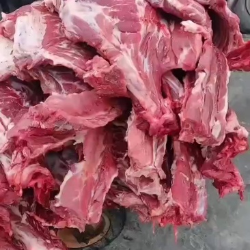 猪排骨