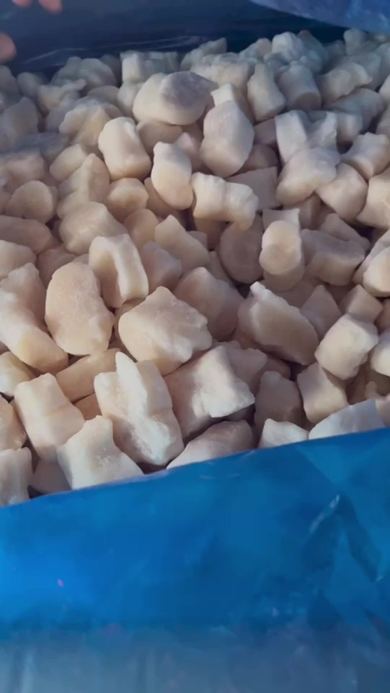 江瑶贝柱