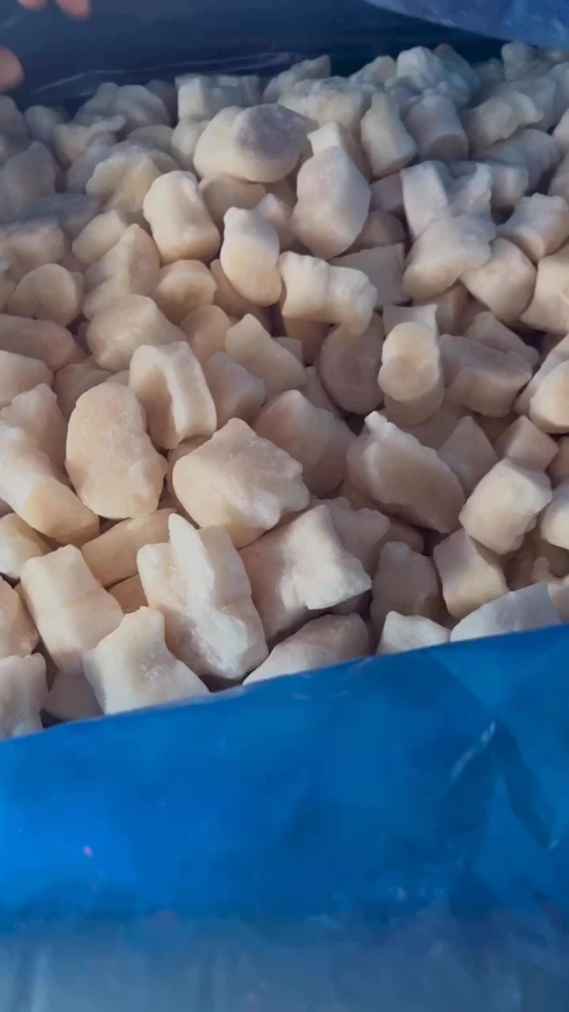 江瑶贝柱