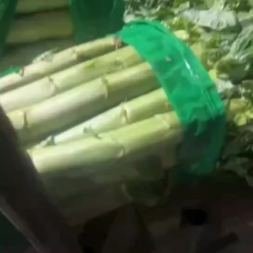 三青莴笋