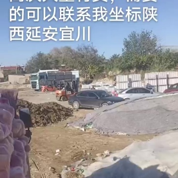 高次大量有货
