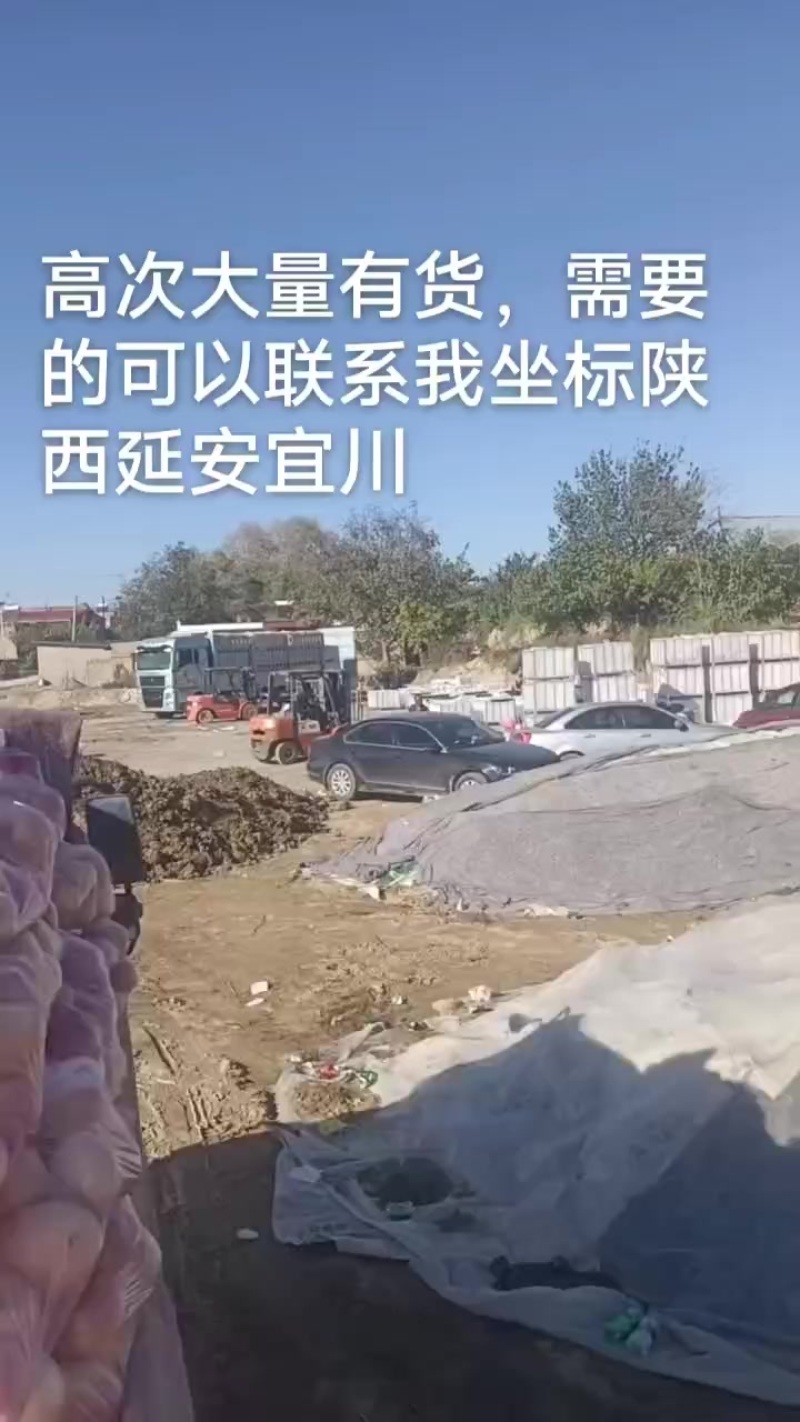 高次大量有货