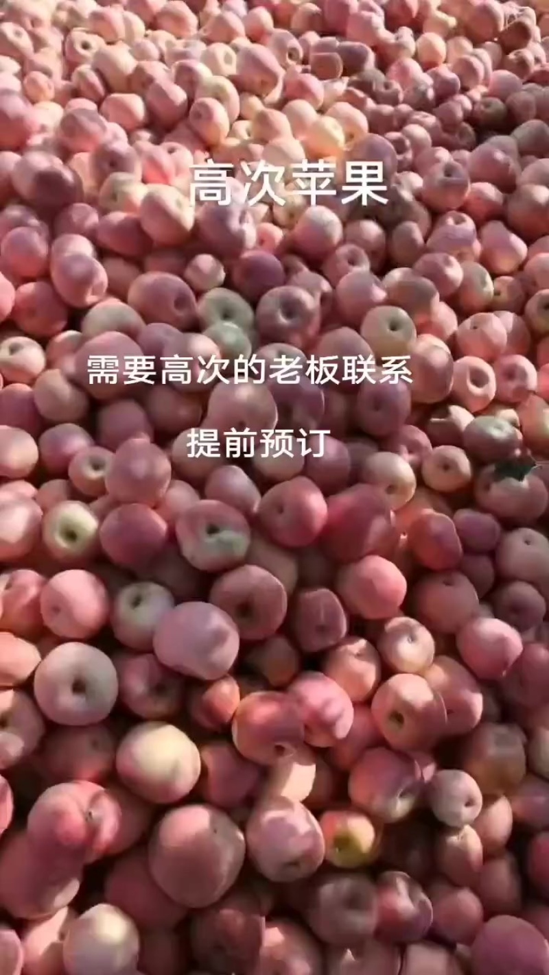 高次大量有货