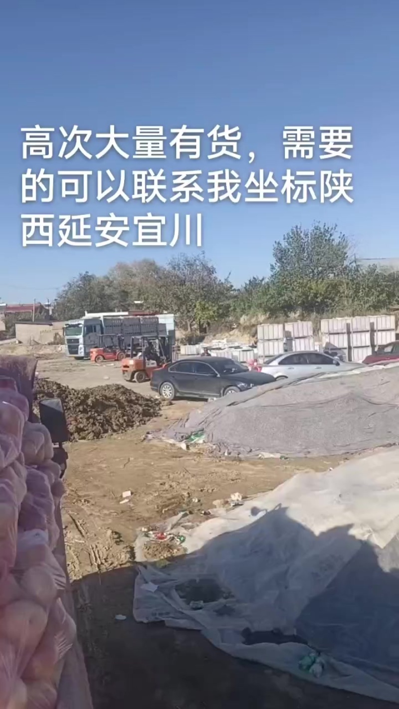 高次大量有货