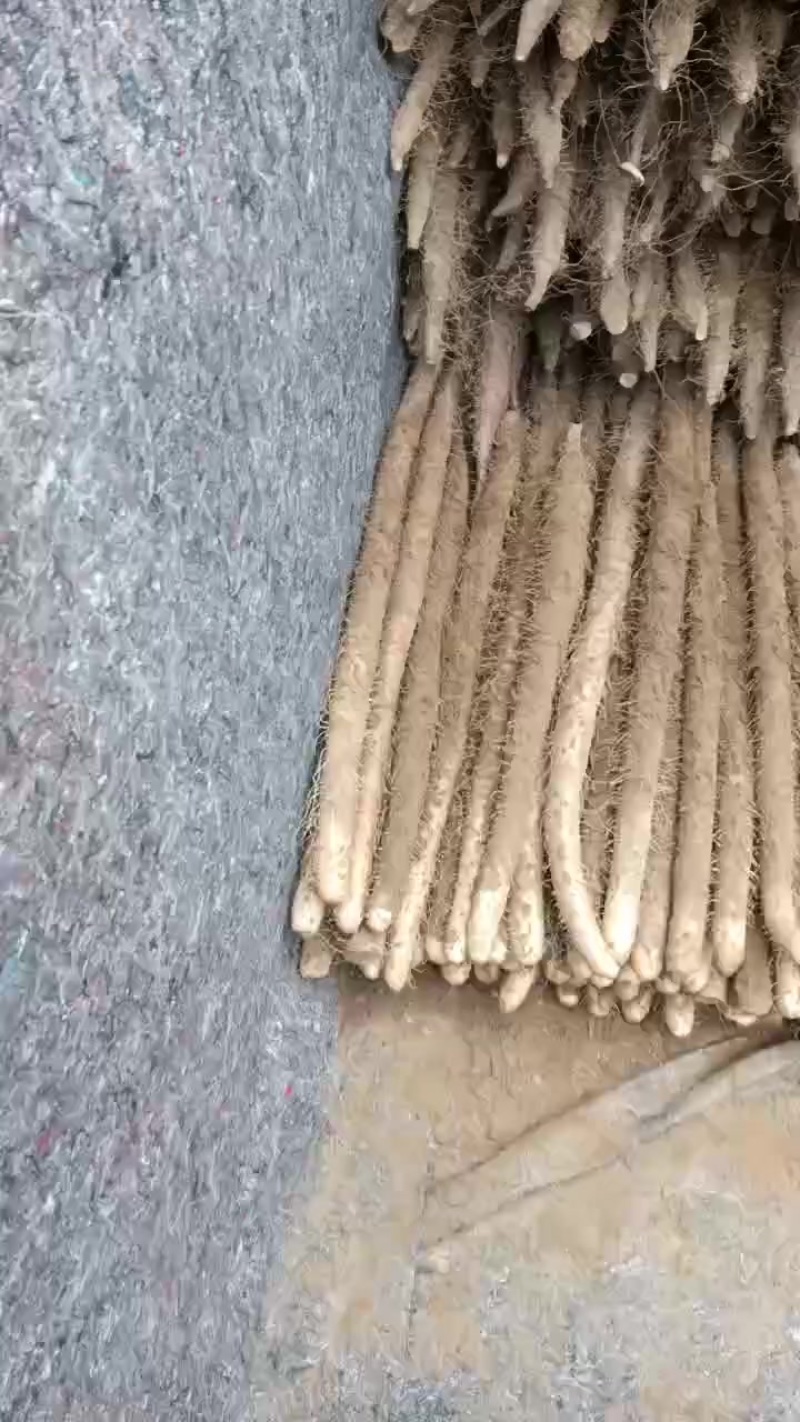 棒药