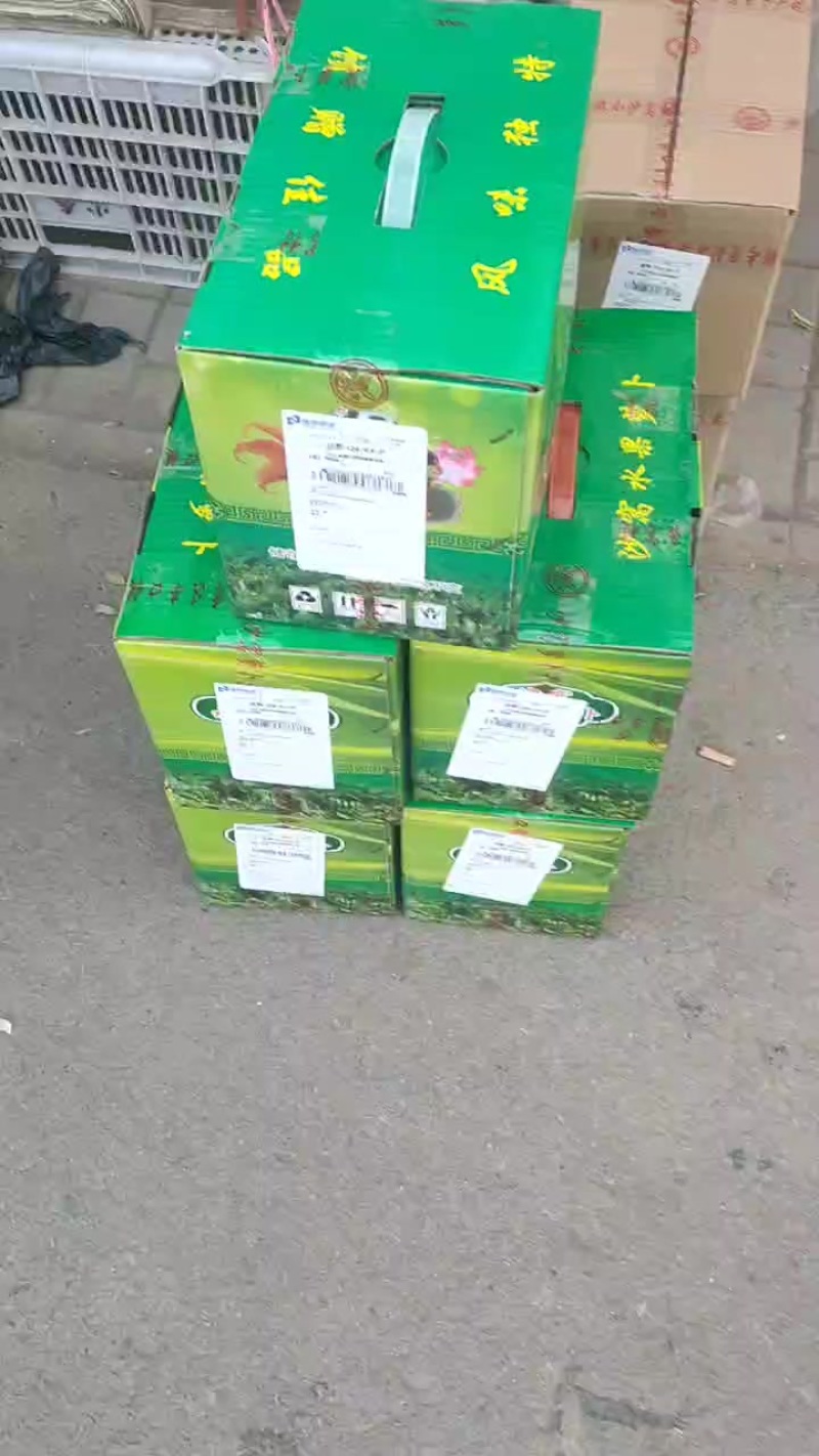 沙窝萝卜七星北斗金星