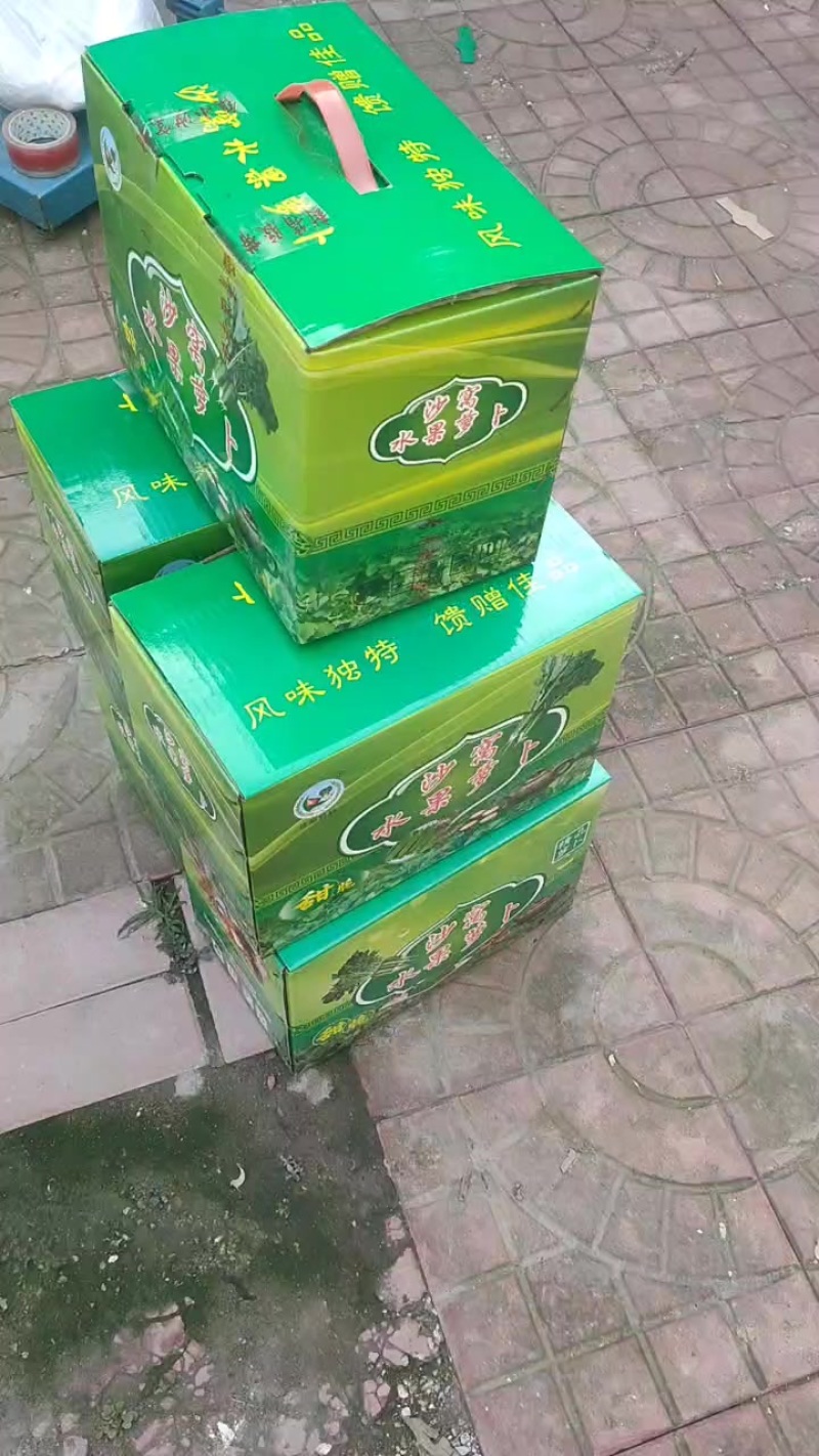 沙窝萝卜七星北斗金星