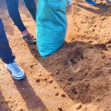 免泡发袋装椰糠打包，无土栽培，可预定发酵椰糠！直接育苗好