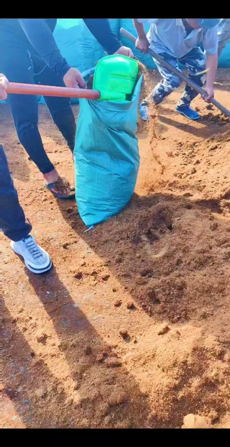 免泡发袋装椰糠打包，无土栽培，可预定发酵椰糠！直接育苗好